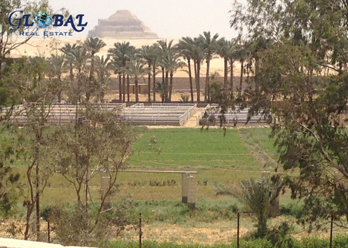Land for sale in Saqqara