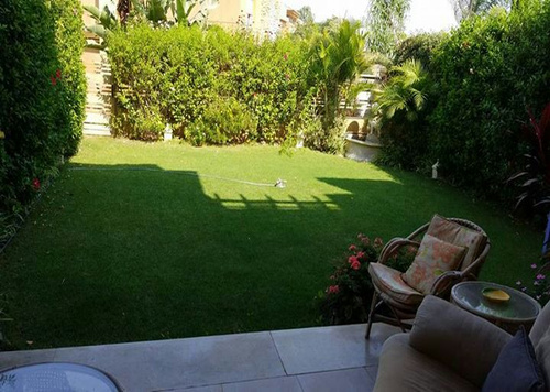 Sheikh Zayed Twin House Avail for Rent.