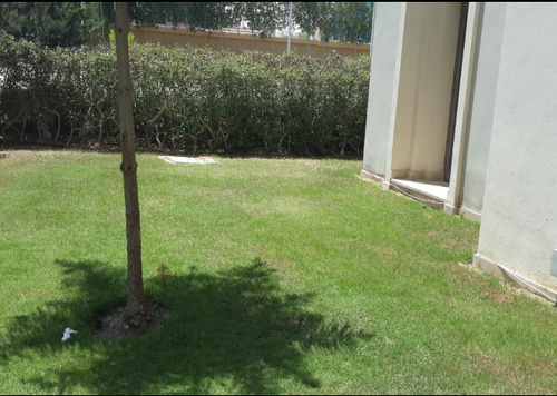 Marassi.catania.north.coast.chalet.gardn