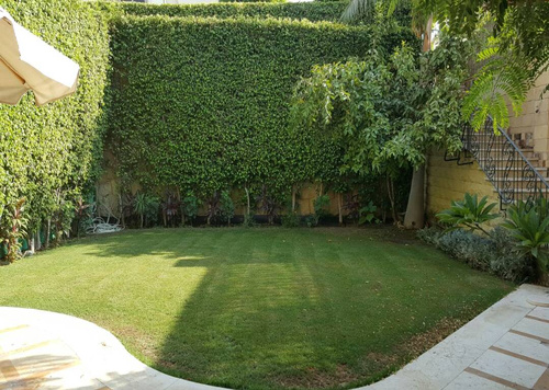 Villa 380 SQ.M for Rent in Al Patio 1 .
