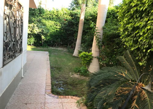 فيلا مميزه للايجار بالرحاب Villa for rent