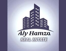 Aly Hamza
