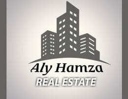 Aly Hamza Real Estate
