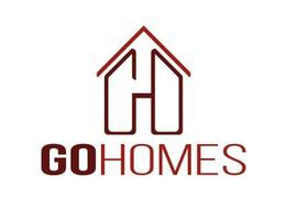 محمود الامير 