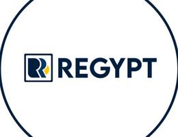 Agent Regypt Commercial