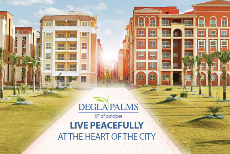 Degla Palms 6 October