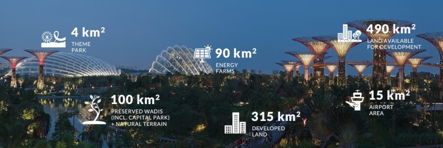 Services sector in New Capital City
