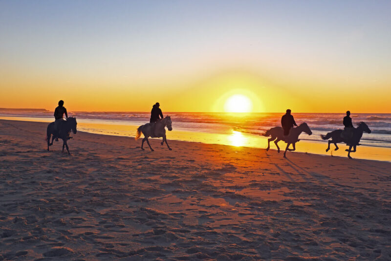 Horseback riding