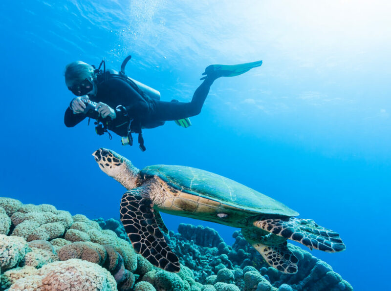 Diving in Dahab