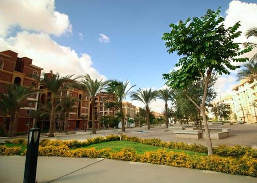 degla palms