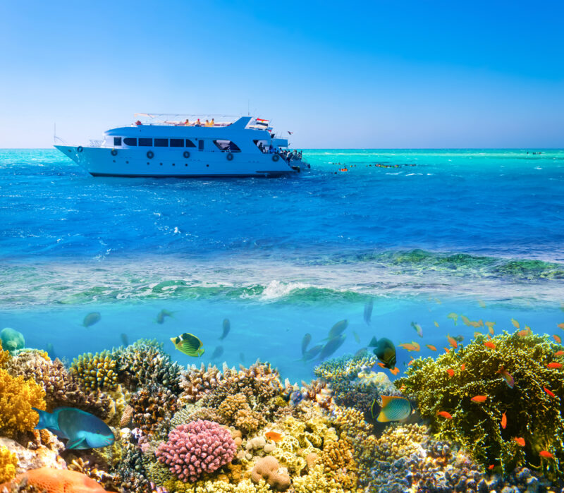 honeymoon in sharm el sheikh