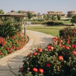 كل ما تريد معرفته عن التجمع الاول