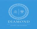 Diamond for Real Estate.