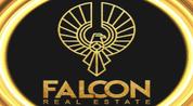 Falcon for Real Estate logo image