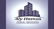 Aly Hamza logo image Aly Hamza logo image