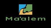 Maalem developments logo image