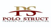 Polo Struct Real Estate logo image