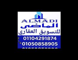 الماضي للعقارات