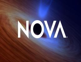 Novaa Real Estate