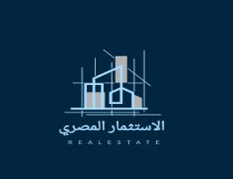 الاستثمار المصري