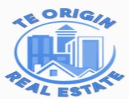 TE-Origin