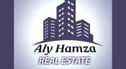 Aly Hamza logo image