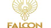 Falcon for Real Estate logo image