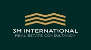 3m International Consultancy logo image