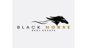 Black Horse Real Estate logo image