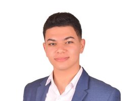 Agent Nour Eldein Taher