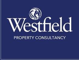 العميل Patrick  Hathout