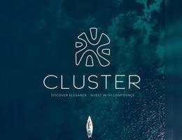 Agent Cluster A Real Estate