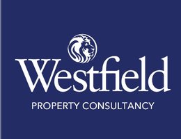 العميل Micheal  Gamal