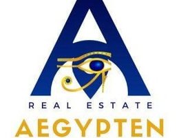 العميل Hamed Elgohary