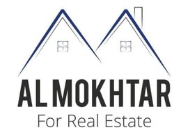 Agent Mohamed Mokhtar
