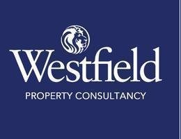 العميل Nourhan Salleh