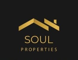 Agent soul properties 