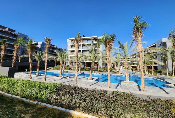 8385200 - Property Image 3