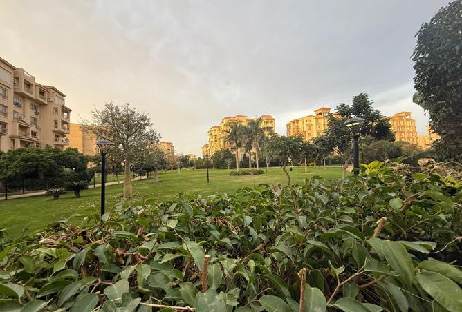 8213377 - الصورة الرئيسية للعقار