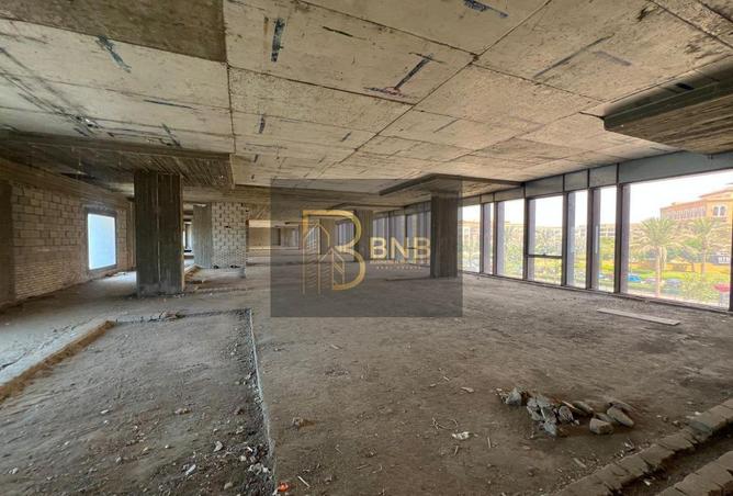 8134091 - Property Image 2
