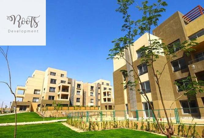 8125120 - Property Image 3