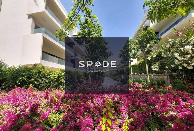 8308894 - Property Image 3