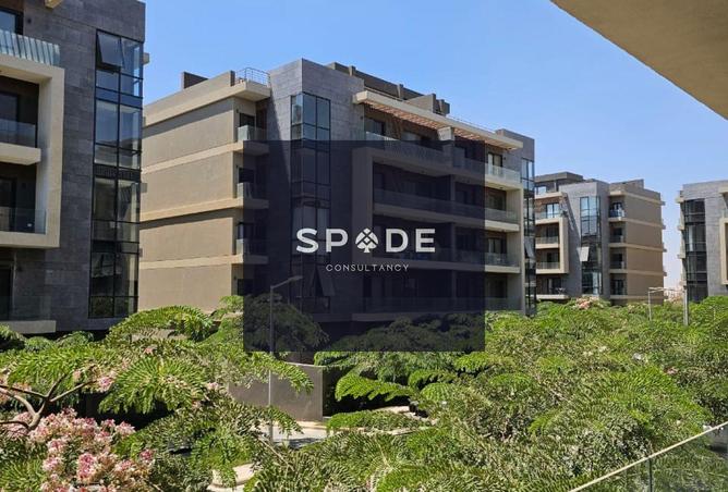 8132186 - Property Image 3