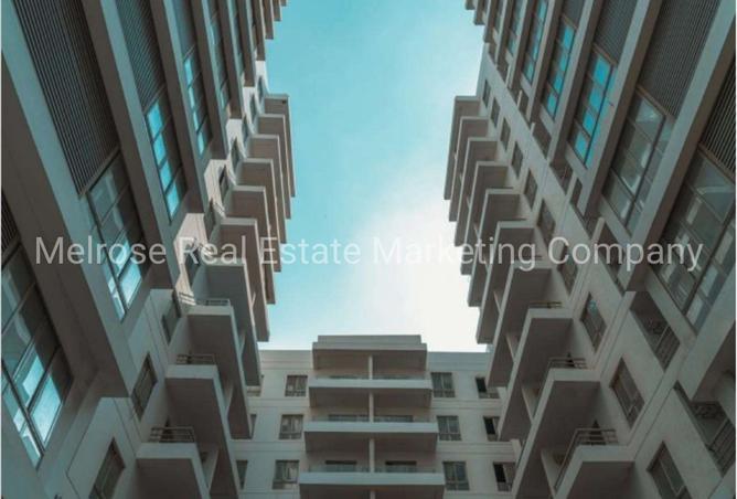 8385905 - Property Image 3