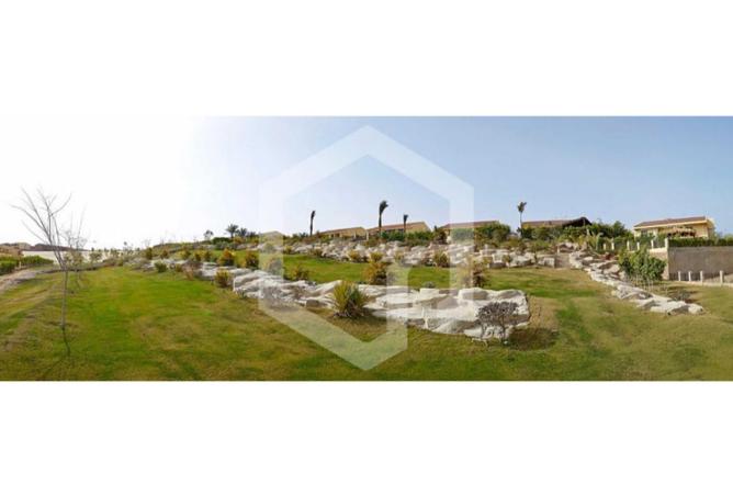 8186795 - Property Image 2