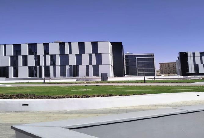 8138415 - صورة العقار 3