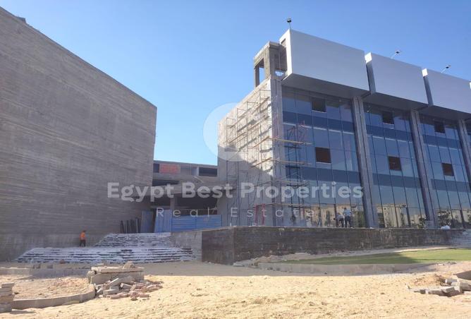 7970434 - Property Image 3