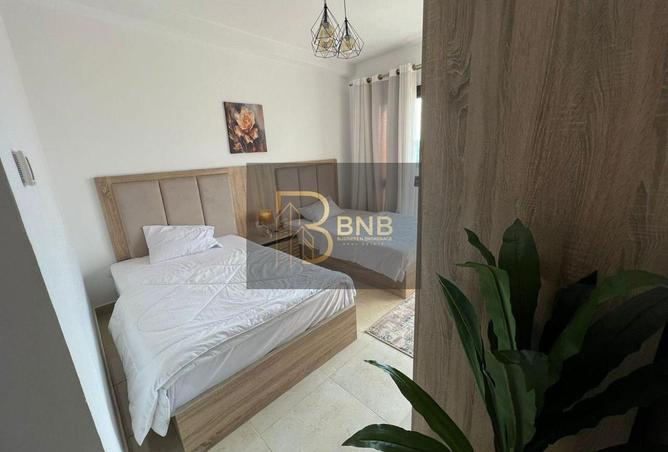 8053885 - Property Image 3