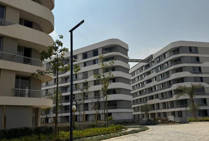 8541787 - Property Image 3