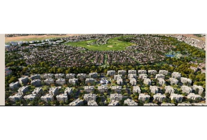 8109418 - Property Image 3